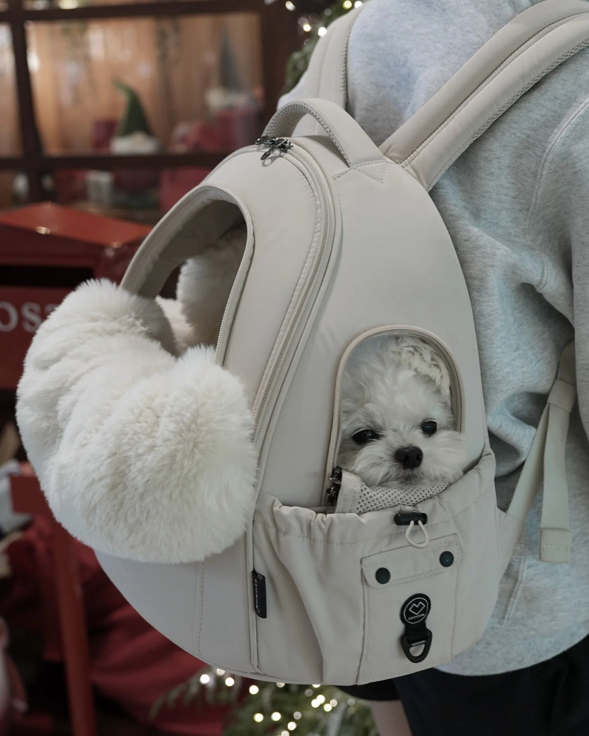 Bubble Pet Carrier Backpack — Transparent Ventilated Cat & Dog Bag