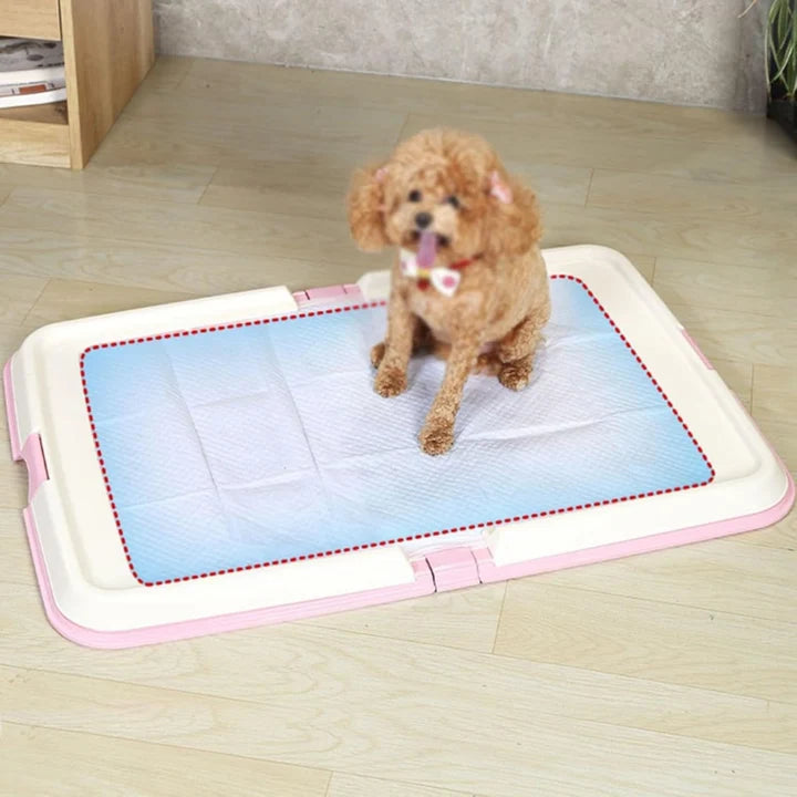 Foldable double dog toilet