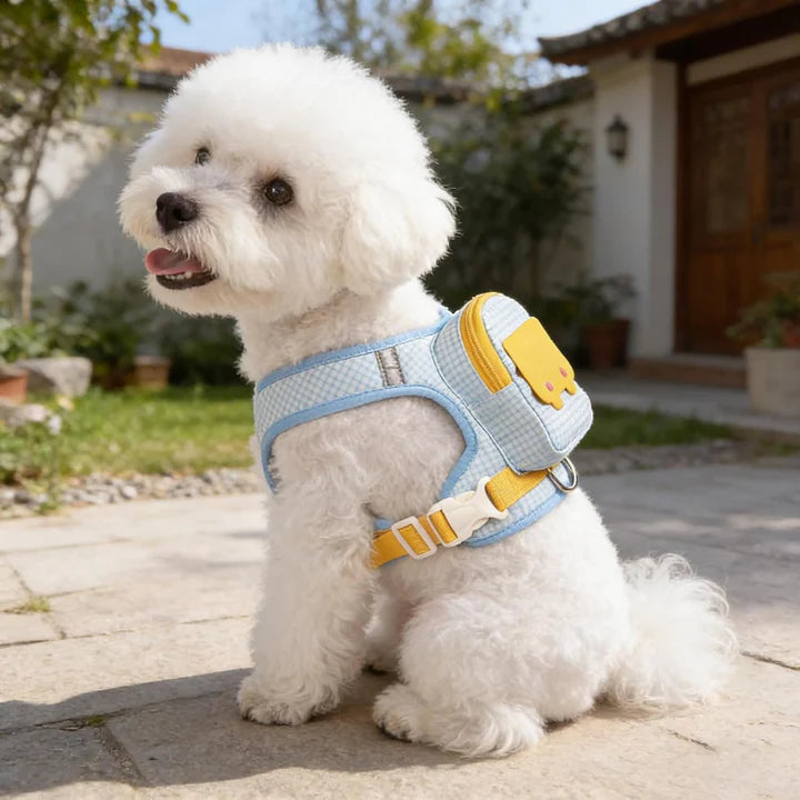 Backpack harness for dogs with lead