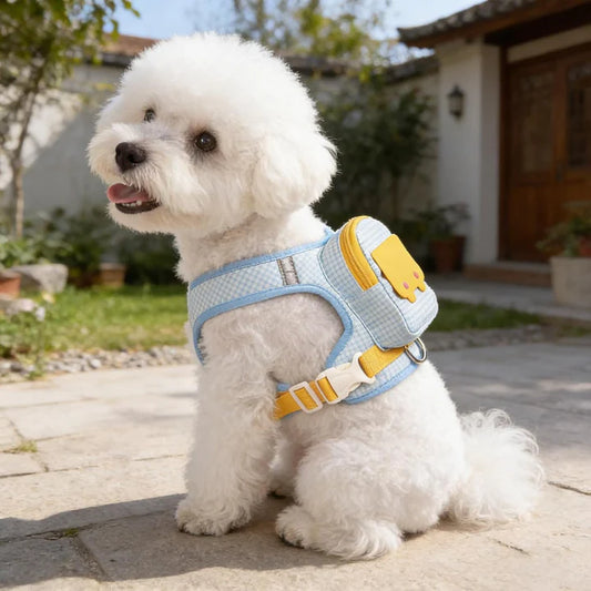 Backpack harness for dogs with lead