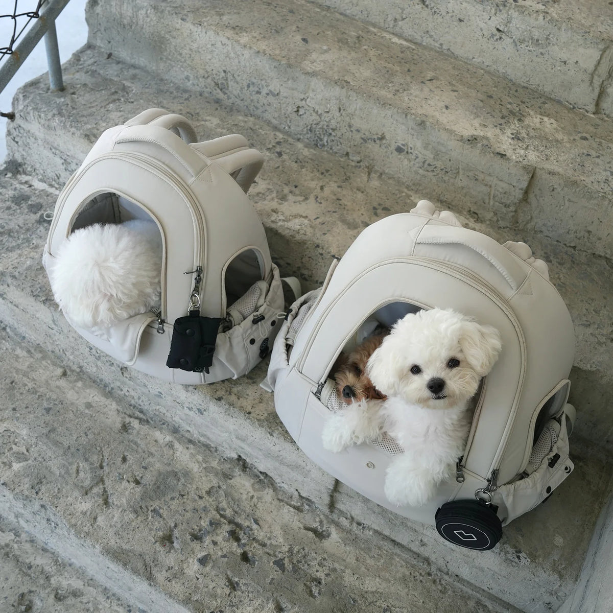 Bubble Pet Carrier Backpack — Transparent Ventilated Cat & Dog Bag