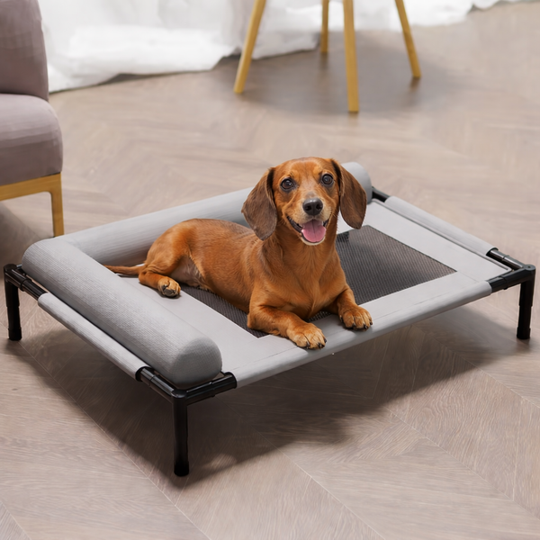New -  Elevated Pet Bed