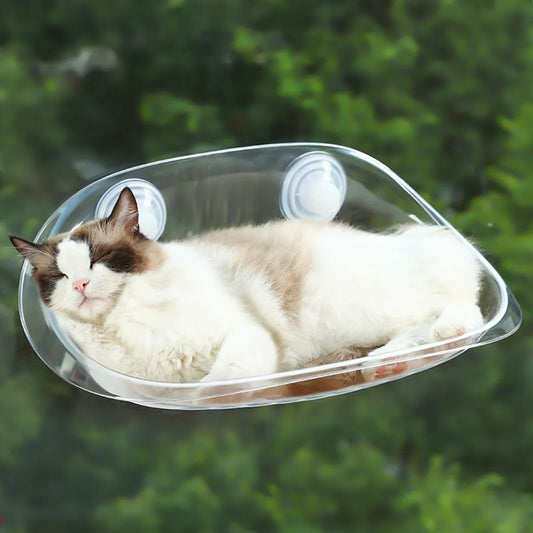 Cat Suspended Bed