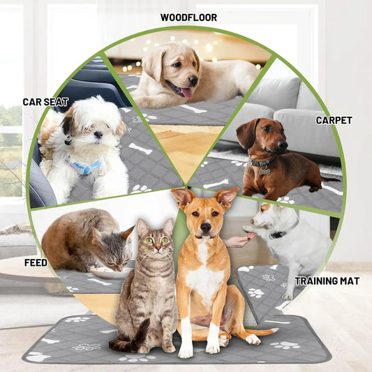 Pet Drying Mat — Quick-Absorb Microfibre Dog & Cat Bath Mat