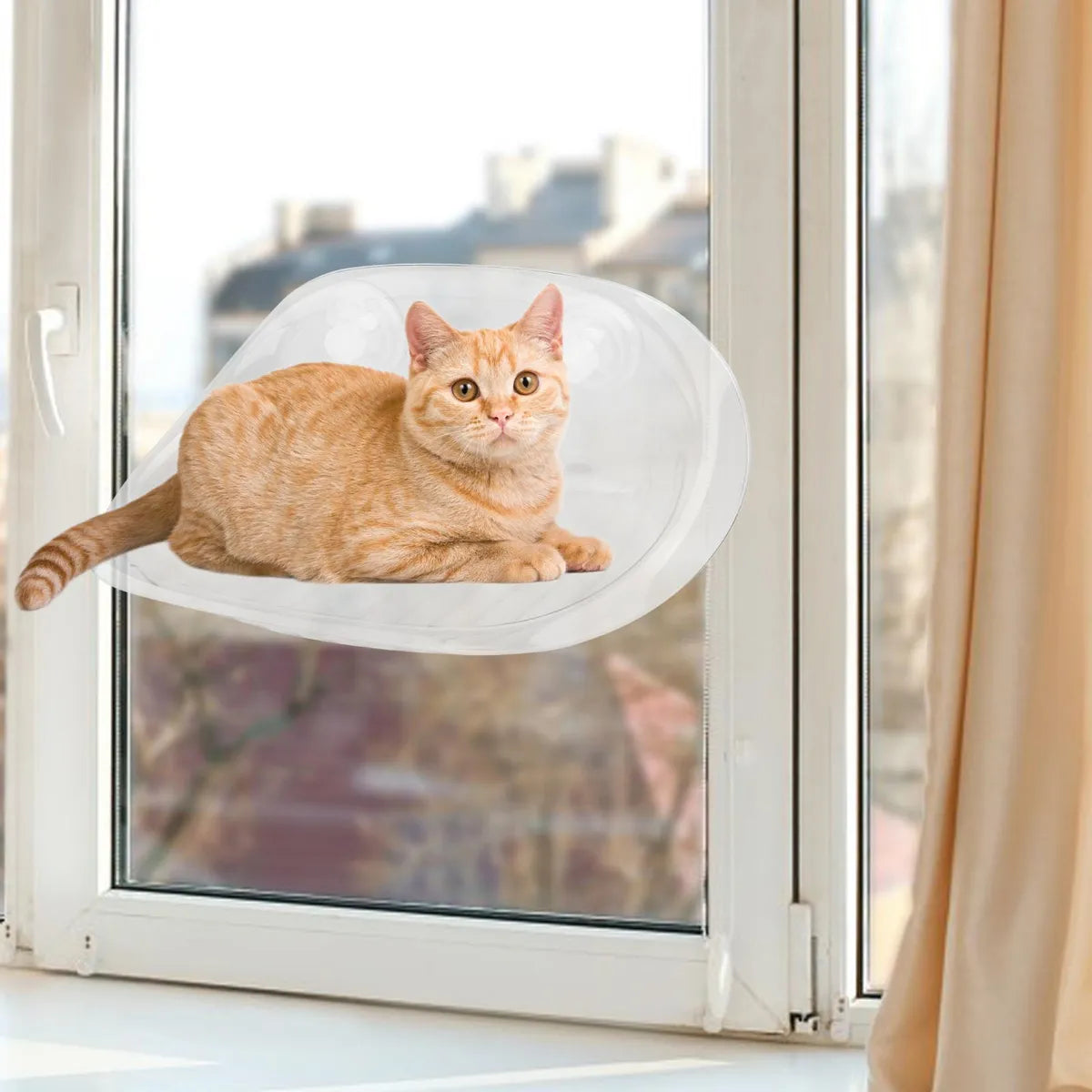 Cat Suspended Bed