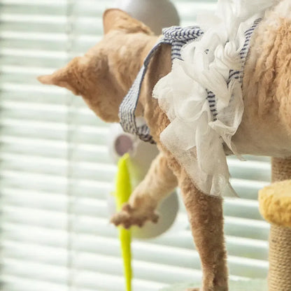 SmartMotion Self-Rotating Pet Toy