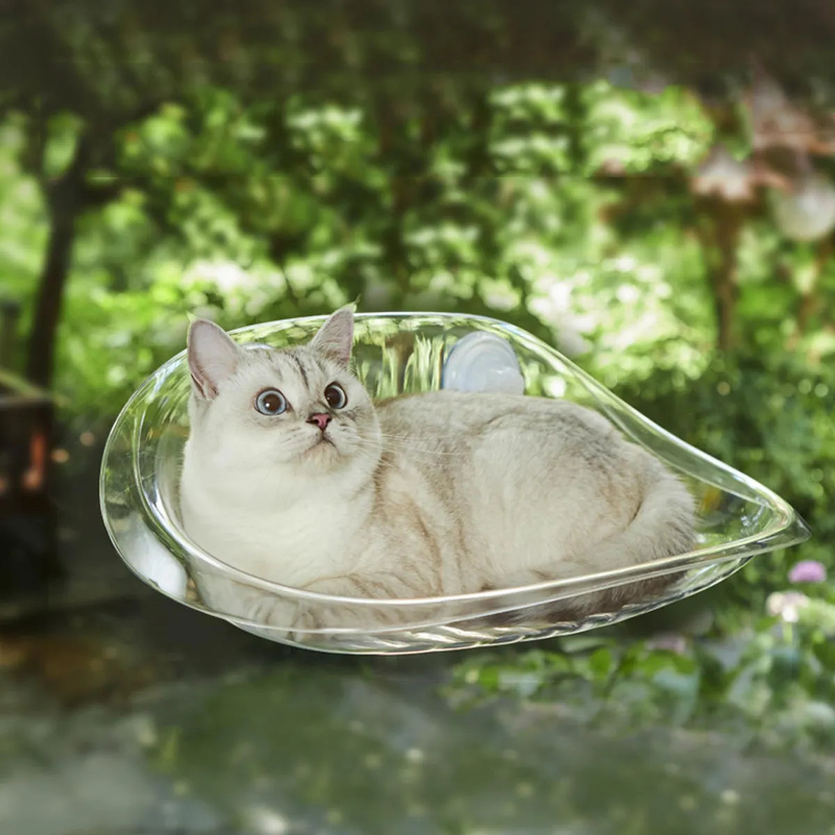 Cat Suspended Bed