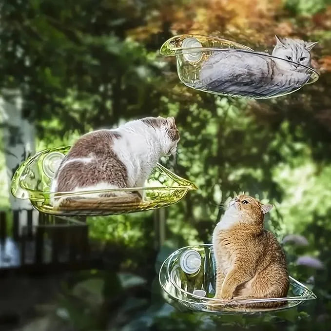 Cat Suspended Bed
