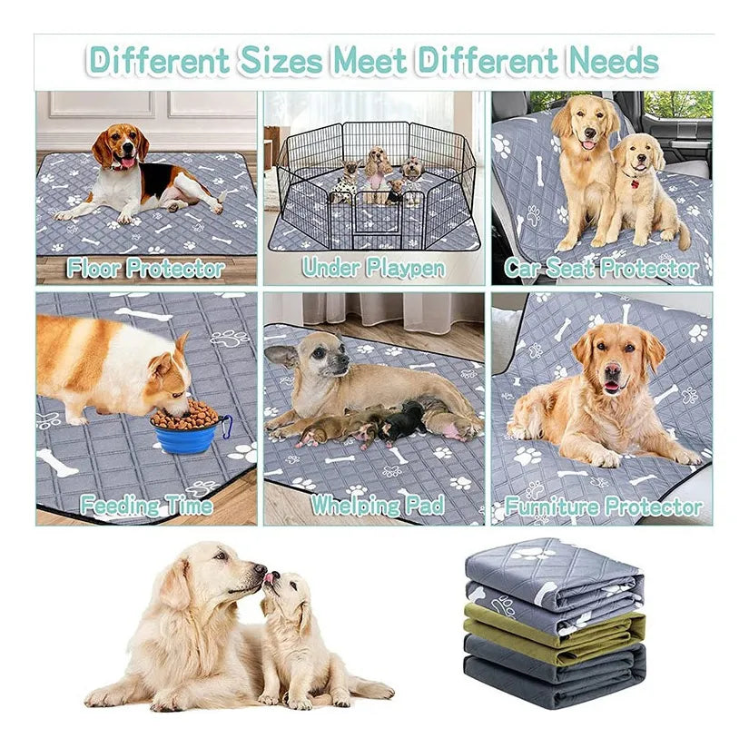 Pet Drying Mat — Quick-Absorb Microfibre Dog & Cat Bath Mat