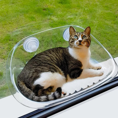 Cat Suspended Bed