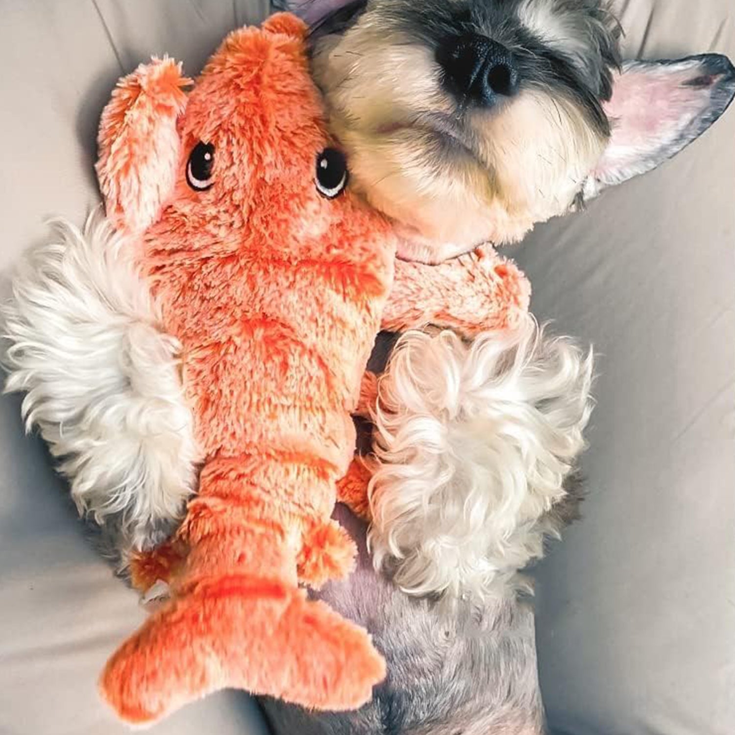 Selected Variant Image