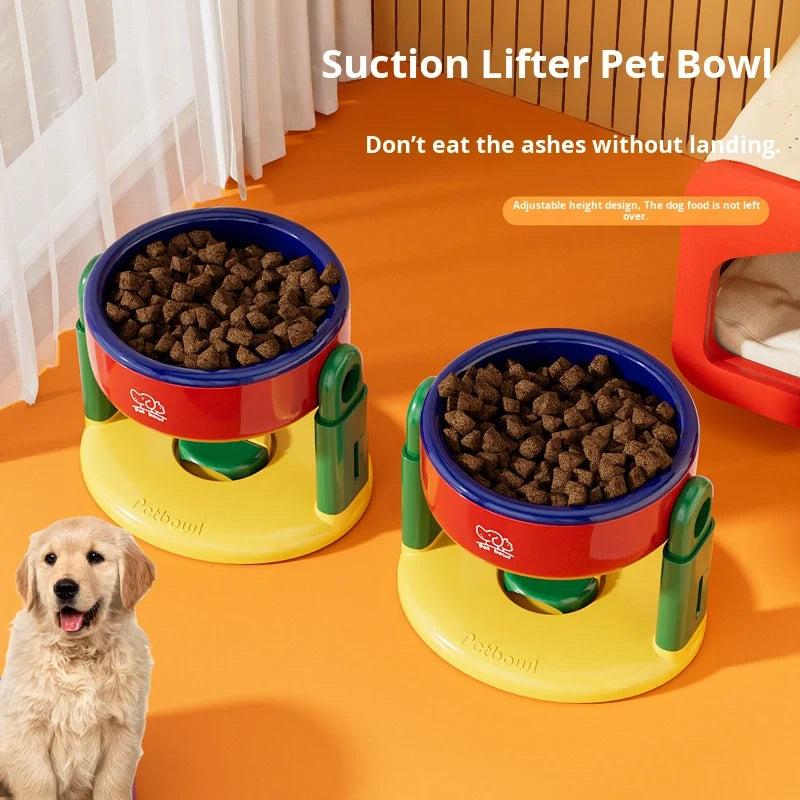 PetBowl Pro | Elevated Feeder