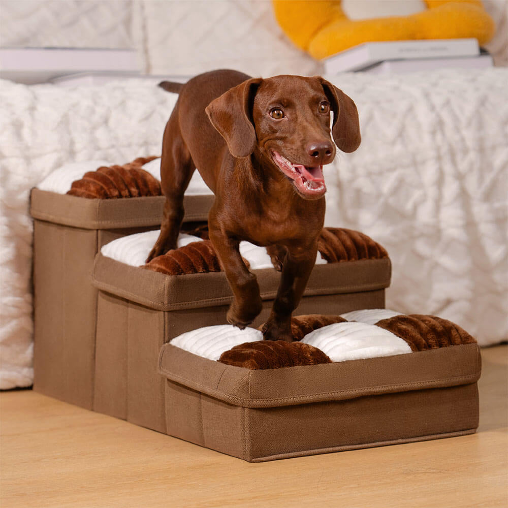 Pet Steps
