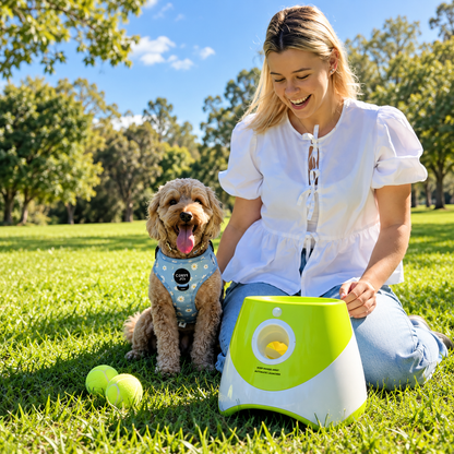 Automatic Dog Ball Launcher