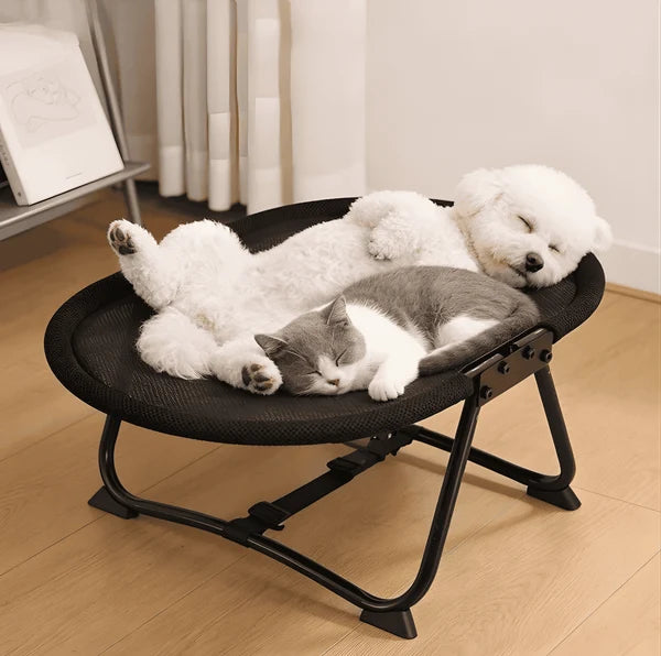PETCOMFORT | Premium Foldable Bed