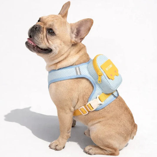 Backpack harness for dogs with leash