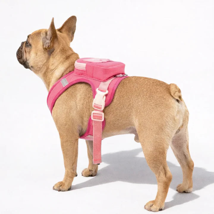 Backpack harness for dogs with lead