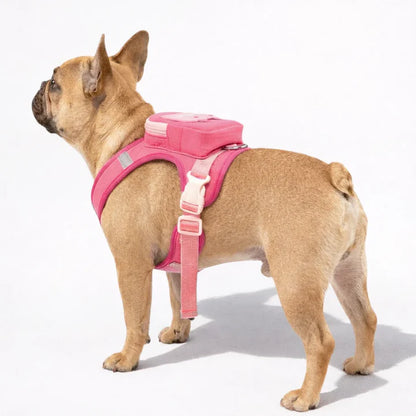 Backpack harness for dogs with lead