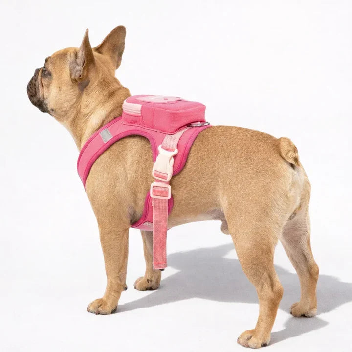 Backpack harness for dogs with leash