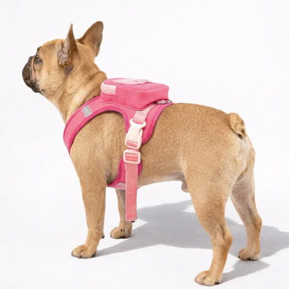 Backpack harness for dogs with leash