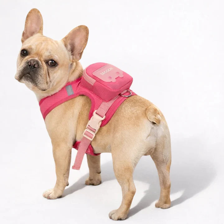 Backpack harness for dogs with lead