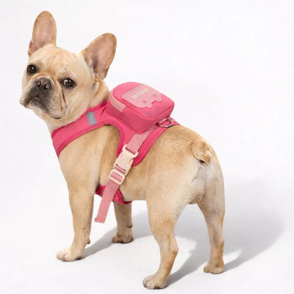 Backpack harness for dogs with lead