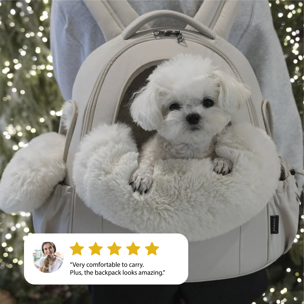 Bubble Pet Carrier Backpack — Transparent Ventilated Cat & Dog Bag