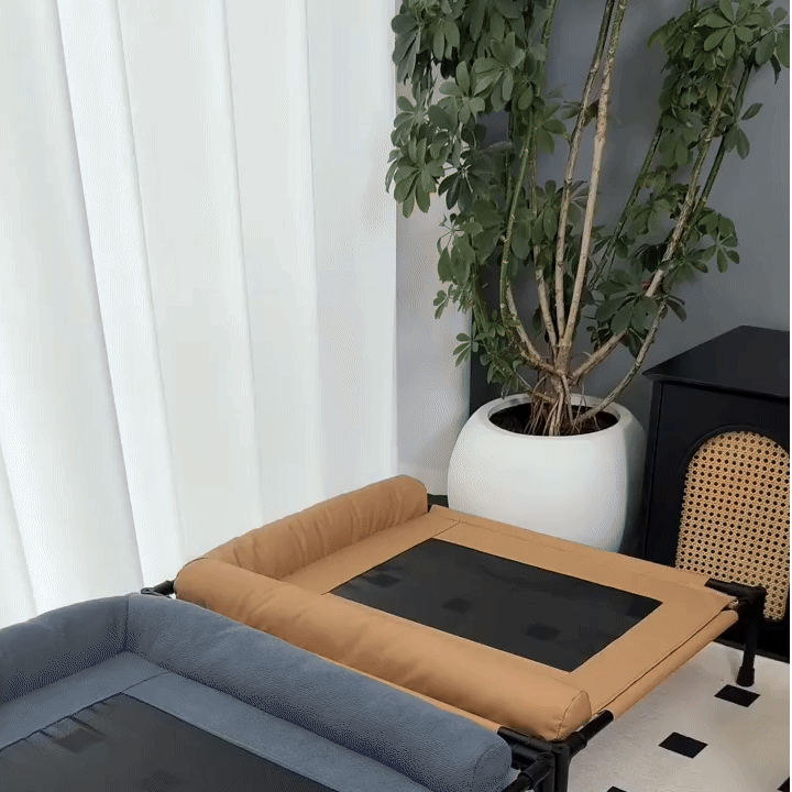 GIF