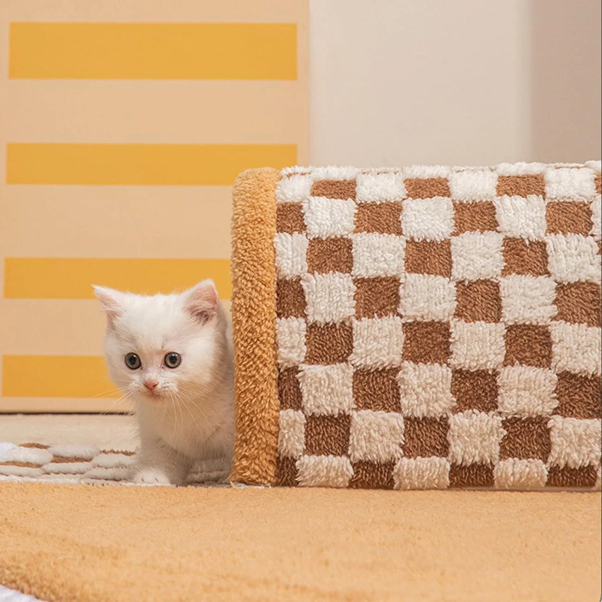 2-in-1 Cat Tunnel Bed — Play Mat & Hideaway Toy for Cats